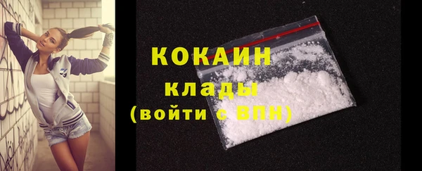 твердый Осташков