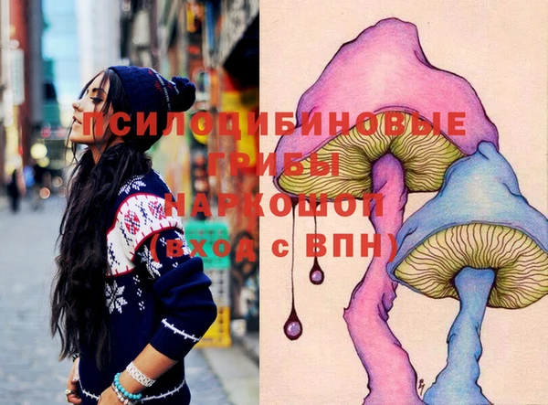 стаф Пересвет