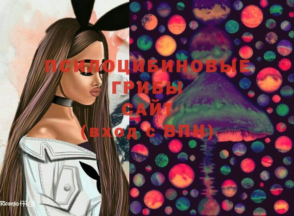 стаф Пересвет