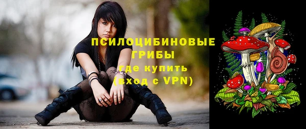 стаф Пересвет