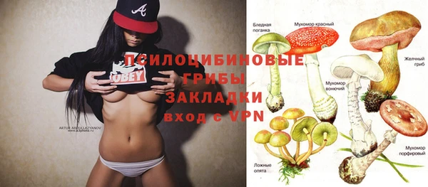 стаф Пересвет