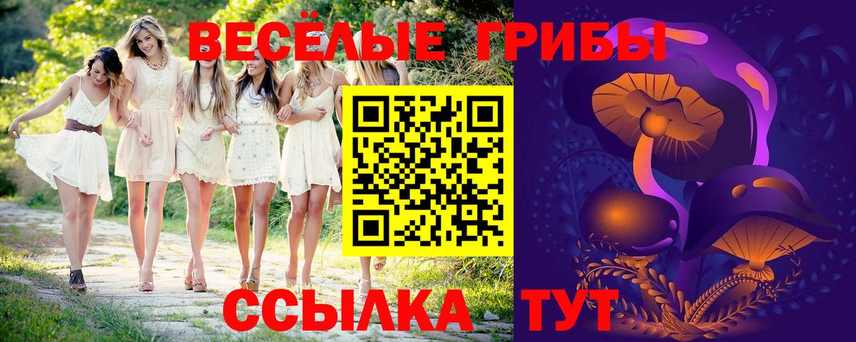 Галлюциногенные грибы Psilocybine cubensis Курск