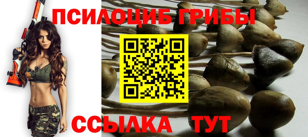продажа наркотиков  Галлюциногенные грибы Psilocybine cubensis  Галлюциногенные грибы Psilocybe  Вход с VPN  Курск 