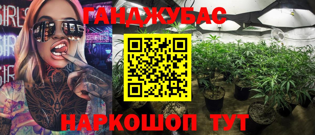 Конопля сатива Курск